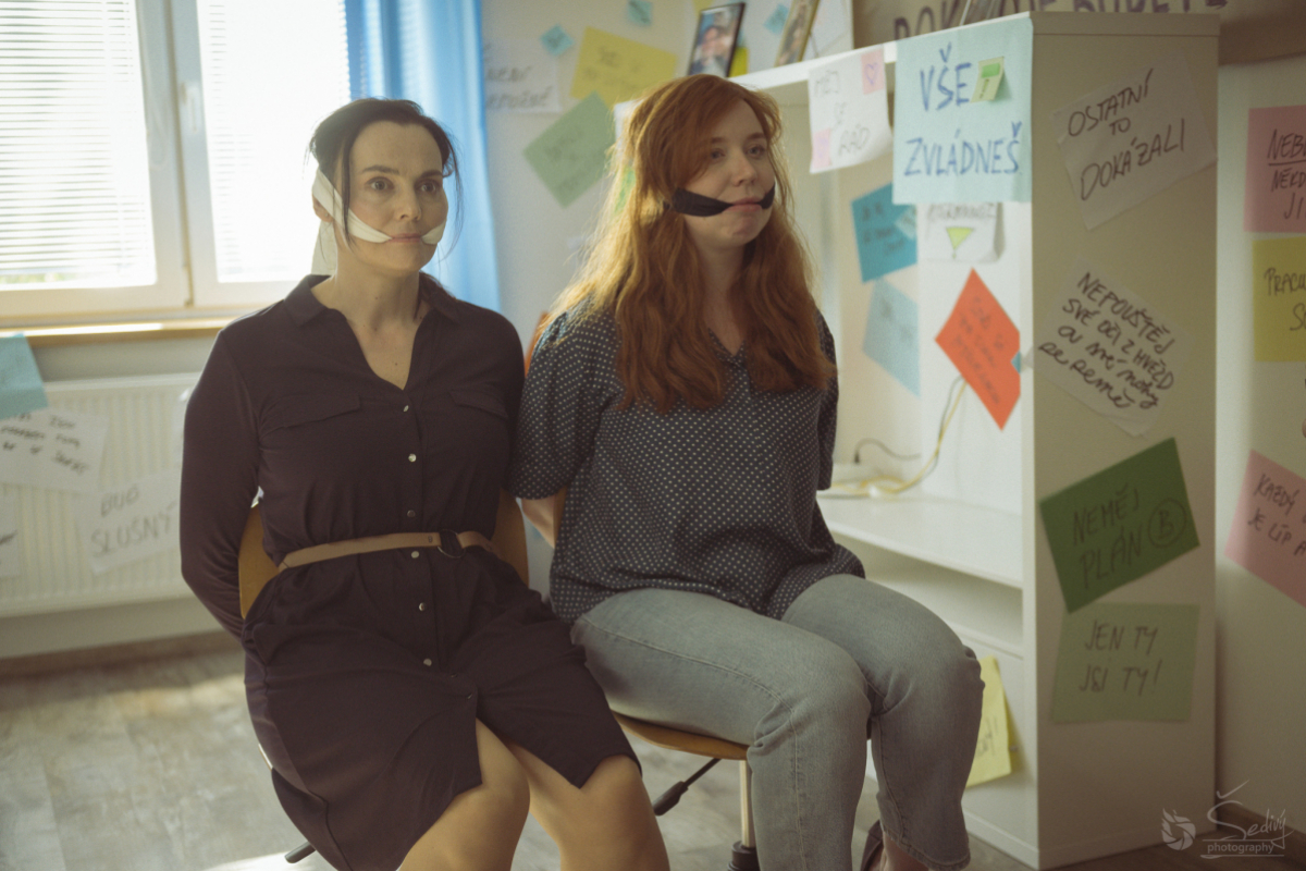 Foto Ovce žerou první