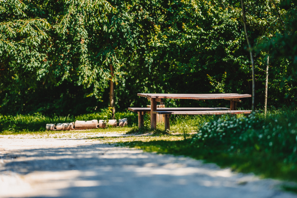 Foto k aktualitě Jaro v pohybu
