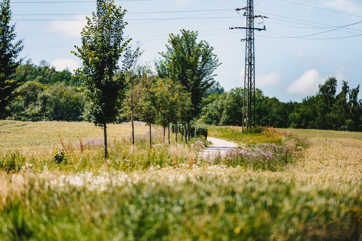 Foto k aktualitě Jaro v pohybu