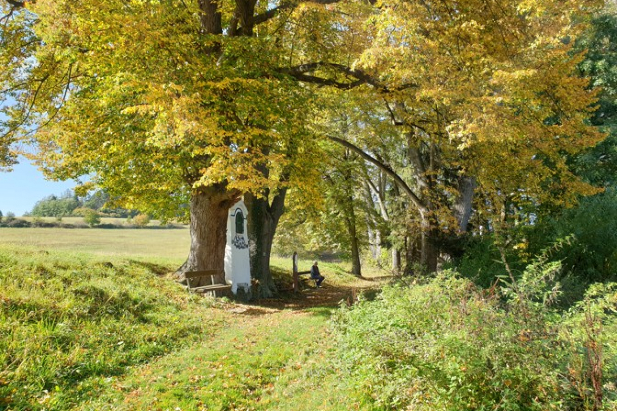 Foto Stezky do Prčice po celý rok