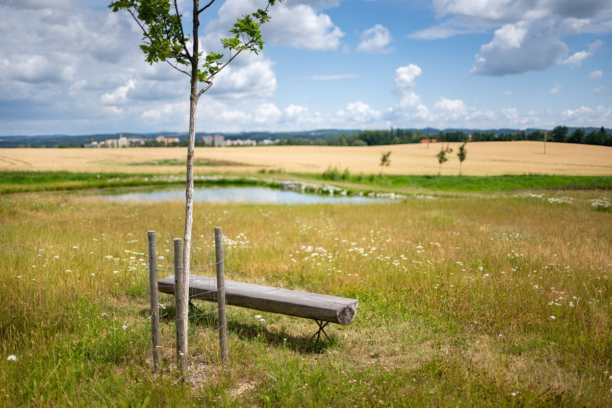 Foto Revitalizované Údolí pod Lipami 