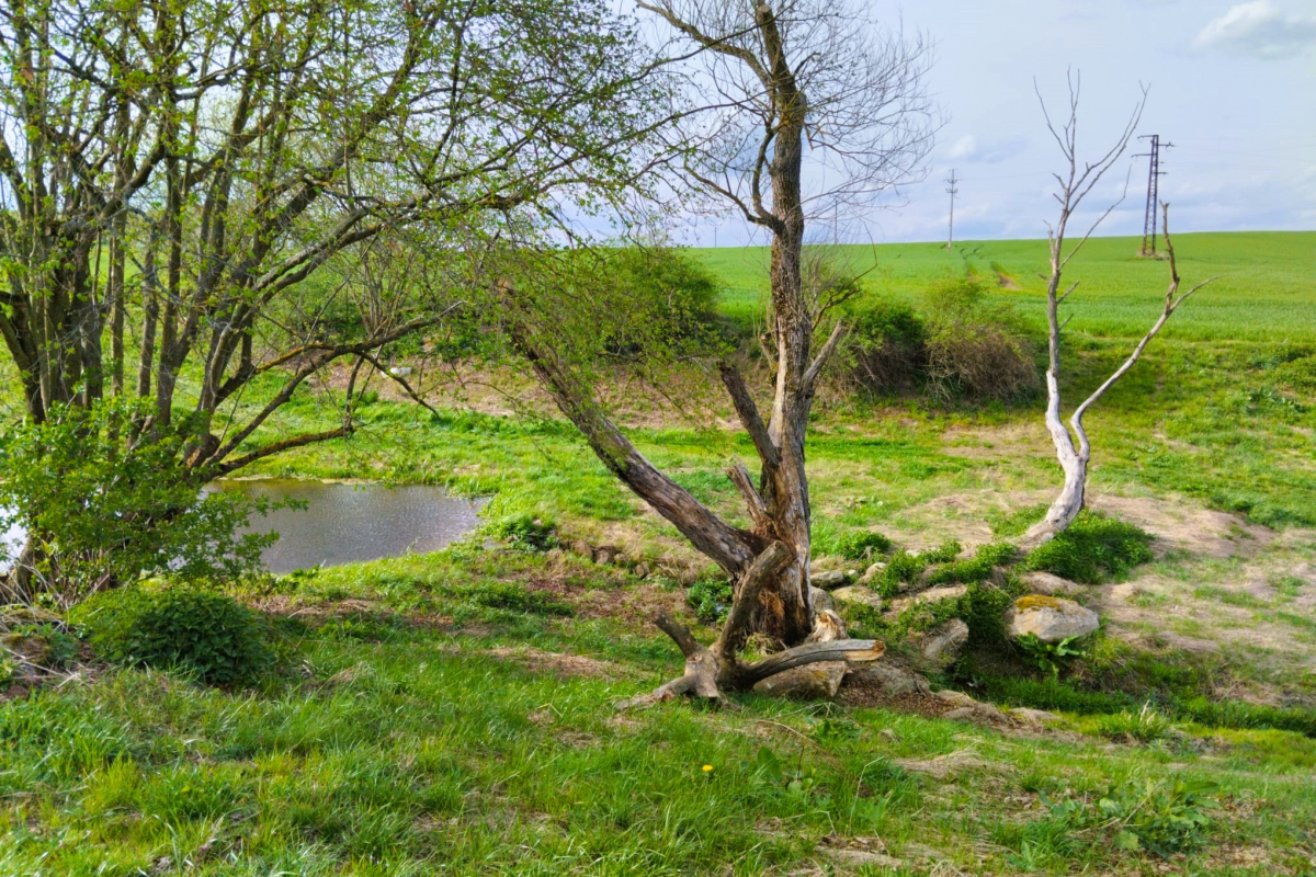 Foto Revitalizované Údolí pod Lipami 