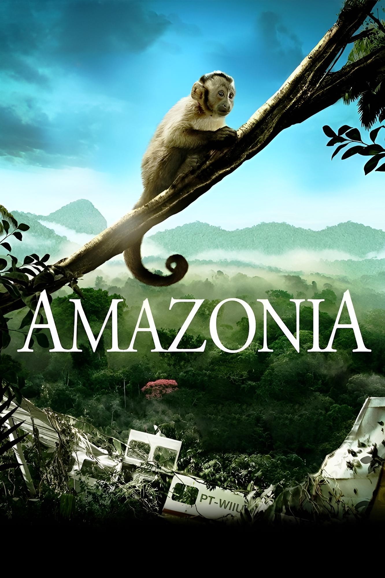 Plakát Amazonie